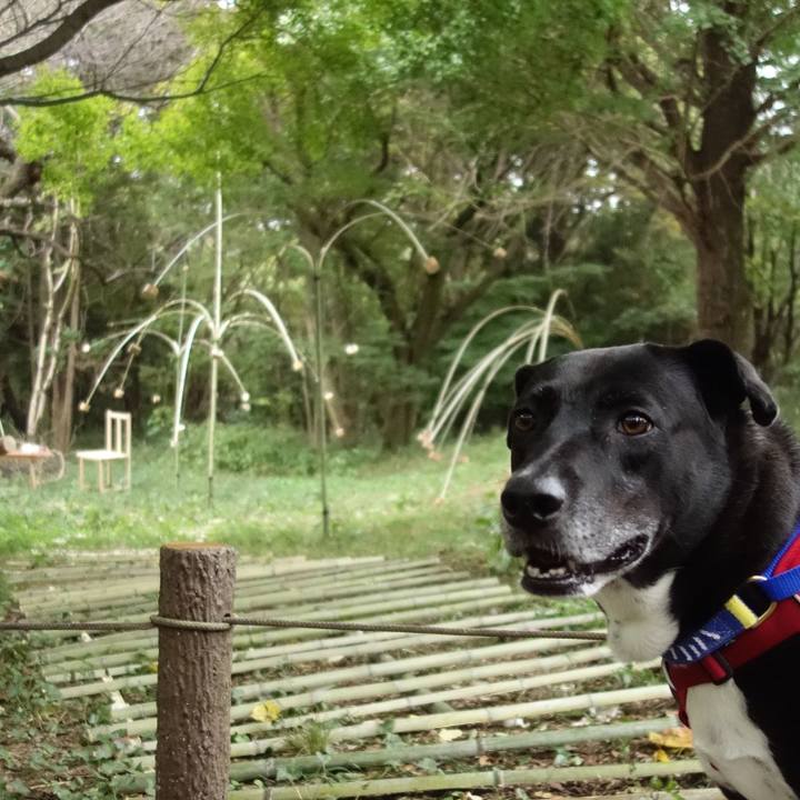 66172642 0b66 4449 94df 0fd50f5918a4 1666569447478