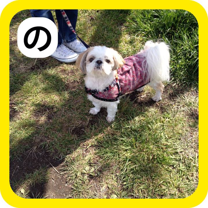 661730ea 18ed 4680 9e15 de18d27e4bbc 1515071821161