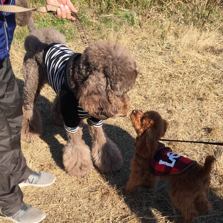 661774a4 19af 447d 84d6 2cca362377c2 1512879749206