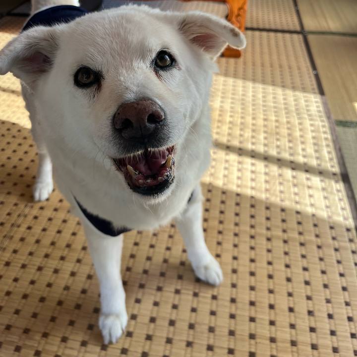 661799f1 b9cc 40d7 b7b5 d102f47a6f0c 1758933827661