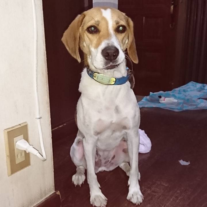 6617b60a 0c90 49f7 903f ddb7a61e4579 1568977458409