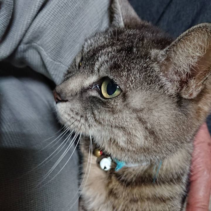 6617e07b a844 443f bca6 58c0954756a2 1555585261360