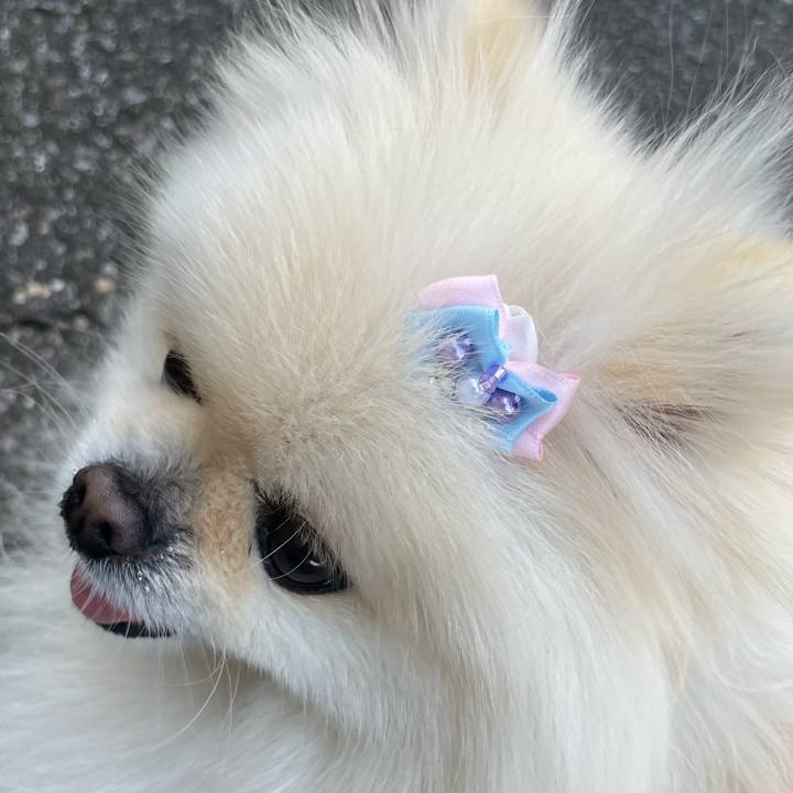 6617f783 7614 4e9b 974f f7e4d0f88239 1678491322312