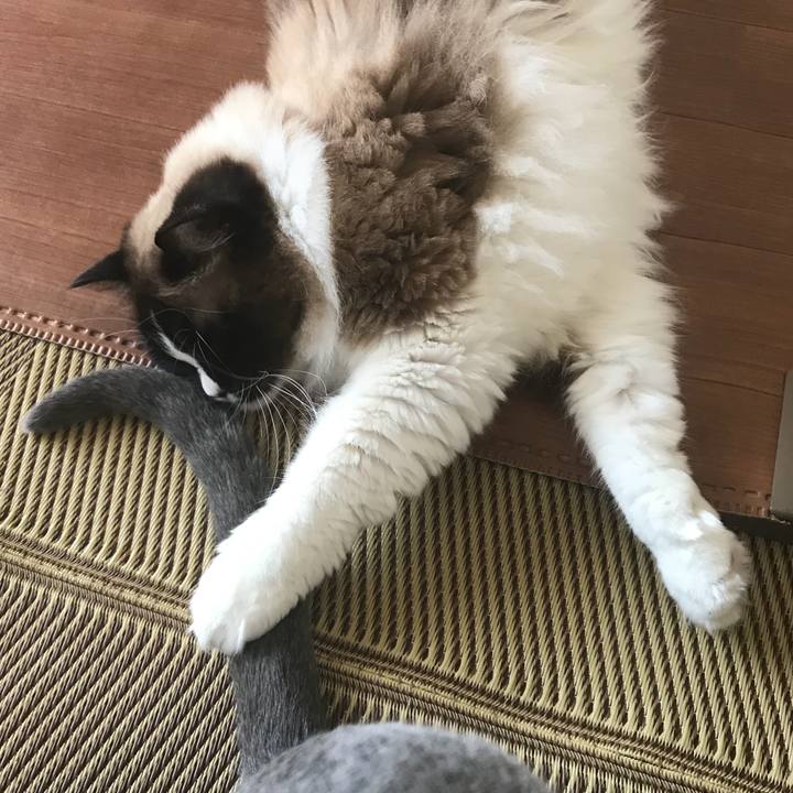 6617f7d7 1434 4d46 9c48 5671d53e04ad 1521284593667