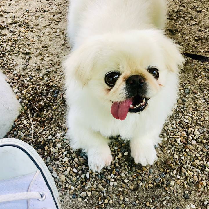 66182623 82f9 4e91 87d2 677ec7beffa9 1624251343035