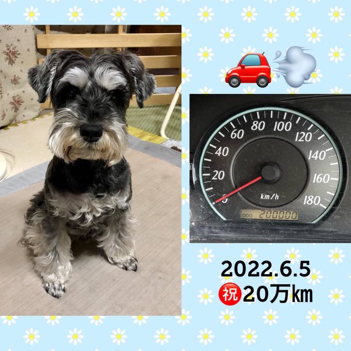 6618a07b 68e8 4bc6 9c60 3dbcdba6cb33 1654438763457