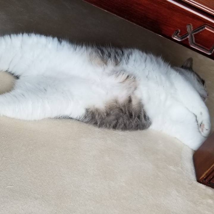 6618d6c6 7866 4b10 ba35 27abec314440 1687820003186