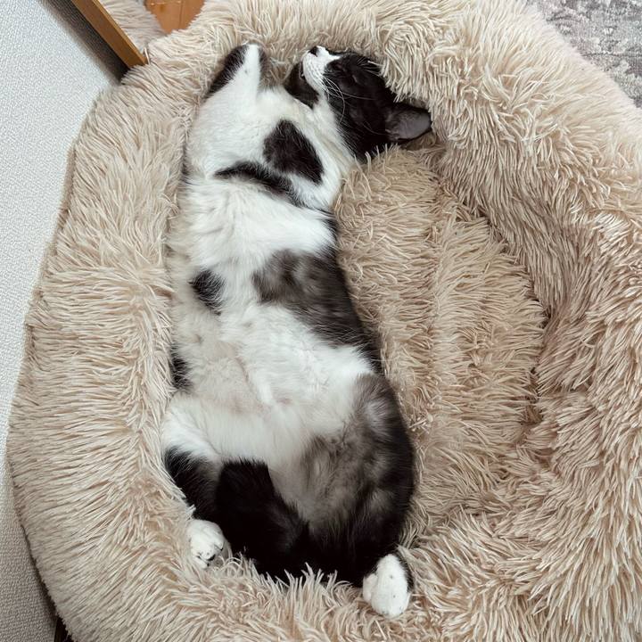 66192794 f836 483d a347 ba3733db2b44 1767949476120