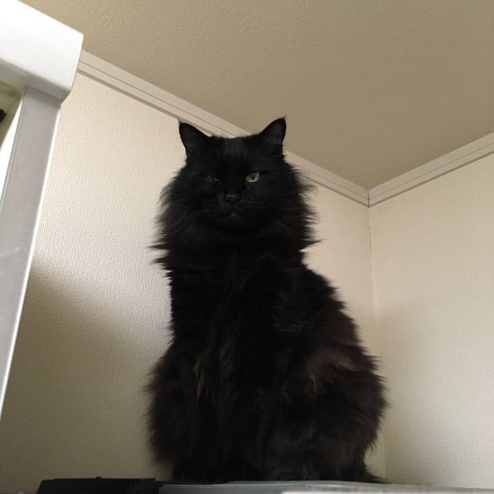 66194915 a0b0 4fd4 98af 32e661d995c4 1546427237529