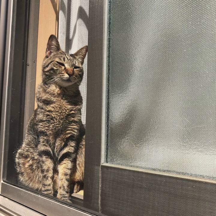 6619732f 61ab 4713 b967 73c197c9f80f 1522528192605