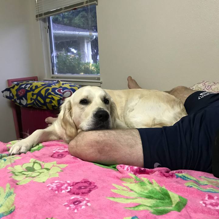 6619a5e7 e9bd 4fe6 8ae4 95bada2074e1 1521972356334