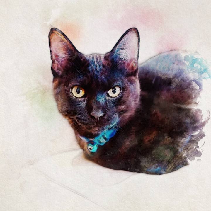 6619e93b 826d 4d49 968a 205190e0538e 1510303905364