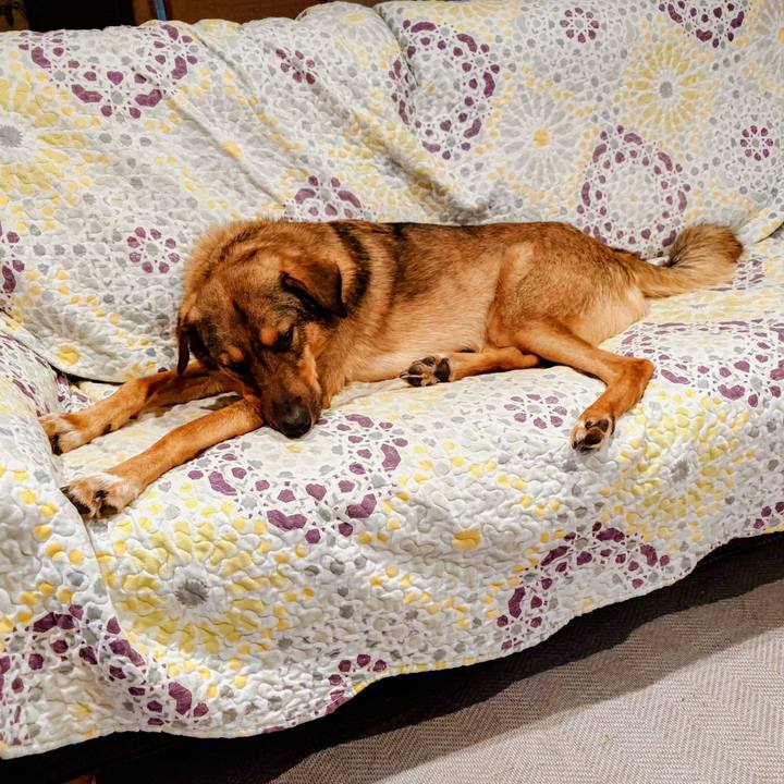 6619f214 9502 46e9 92f7 5eb4f51dd37e 1754749023386