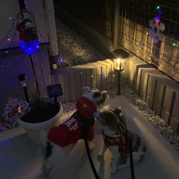 6619f3f4 a468 4737 b0fa a9aa05db05f8 1606293576932