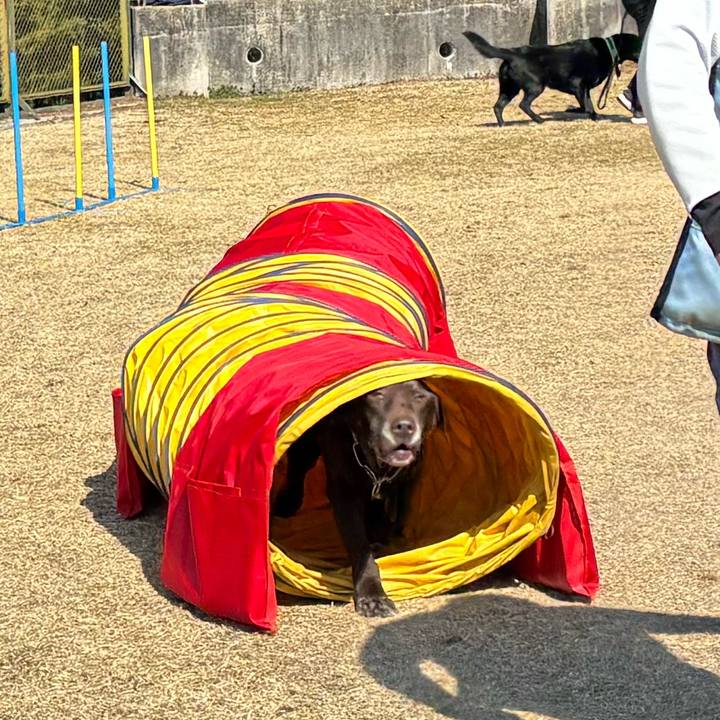 661a11a0 9865 4bd8 a7cb bdbe5bb16cee 1771756530153