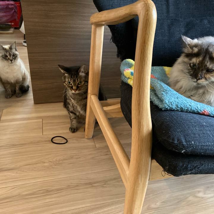 661a3764 3b97 4bca afc6 cf4b0f9f96f8 1739251282348