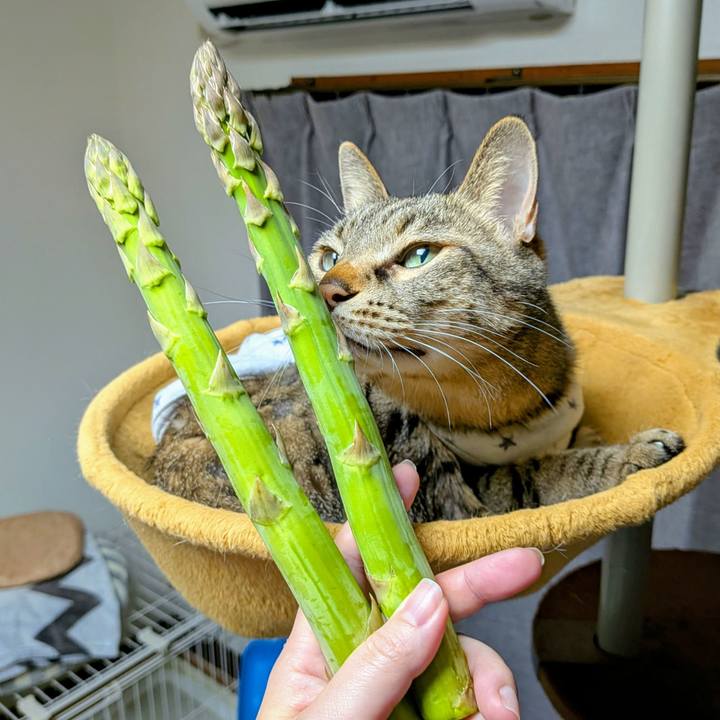 661a570a 749b 4e3e 8923 dbccd6fab76c 1747734853387