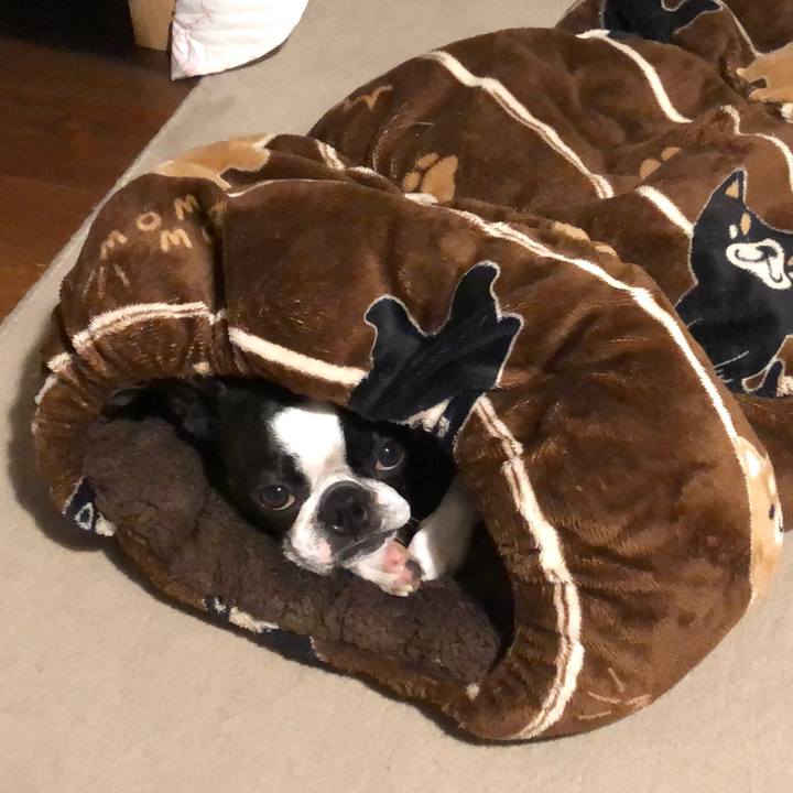 661a84ce b589 4a0d 9ef8 f08d567d8eb1 1621684959977