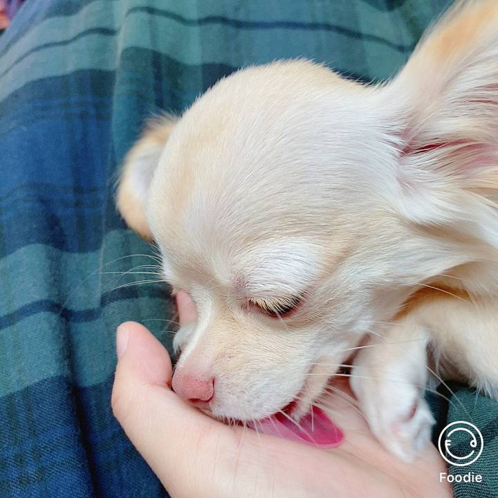 661ac262 fd0e 4ece be29 95df7ec97a3e 1599704956433