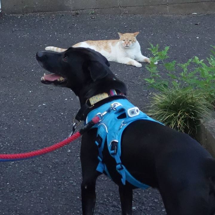 661ac9da acec 4e64 a469 aeb8377cf7aa 1627052732305