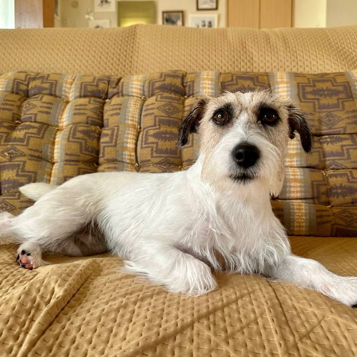 661ae5fc 22dd 4020 ba94 d89a551049d5 1692242419354