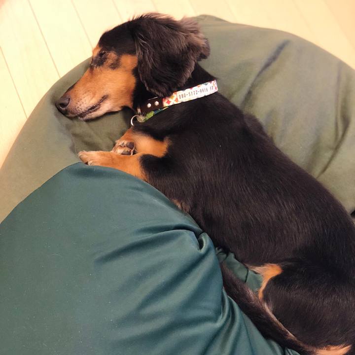 661afbcf 4c90 4202 9b1e 4170d278f44e 1542030320011