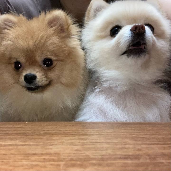 661b25c5 10ab 4d89 9263 2a12c8dbd6a6 1655387346752