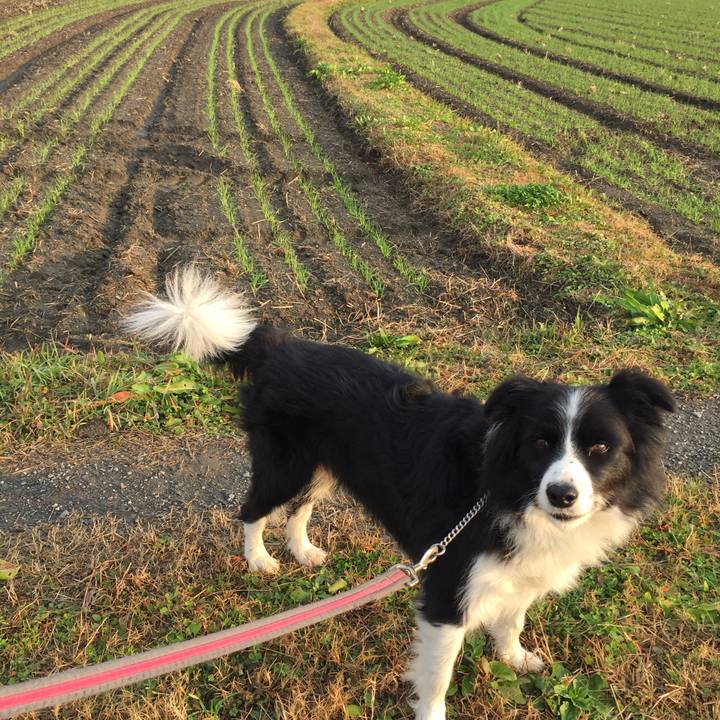 661b4a9b ea2c 467c 90d3 64cb3e4d6b4a 1576627810972