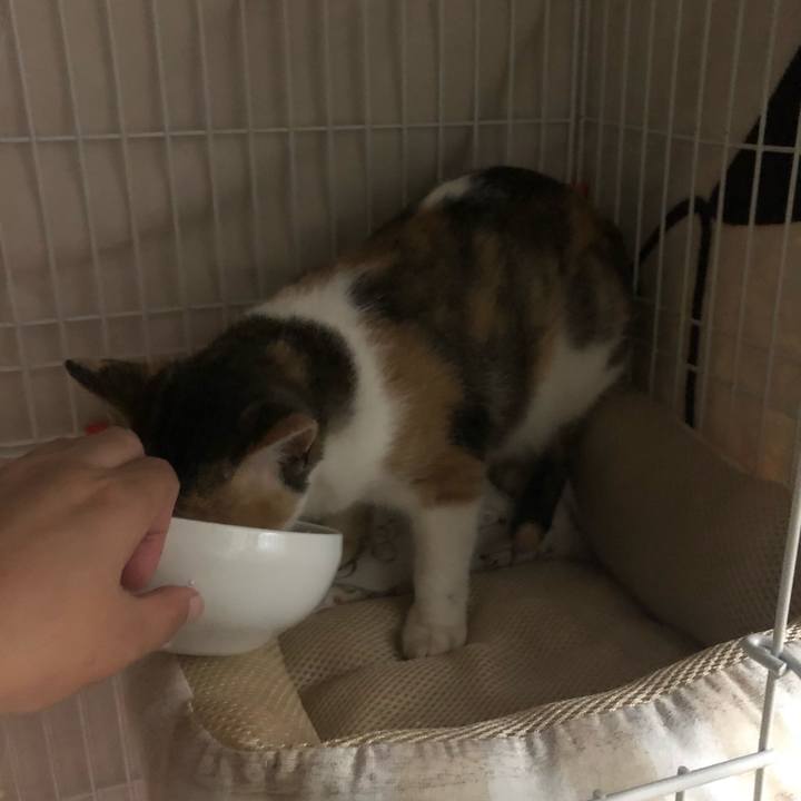 661b4e9e 202b 47e4 9adb dbb58b5633eb 1571930748666