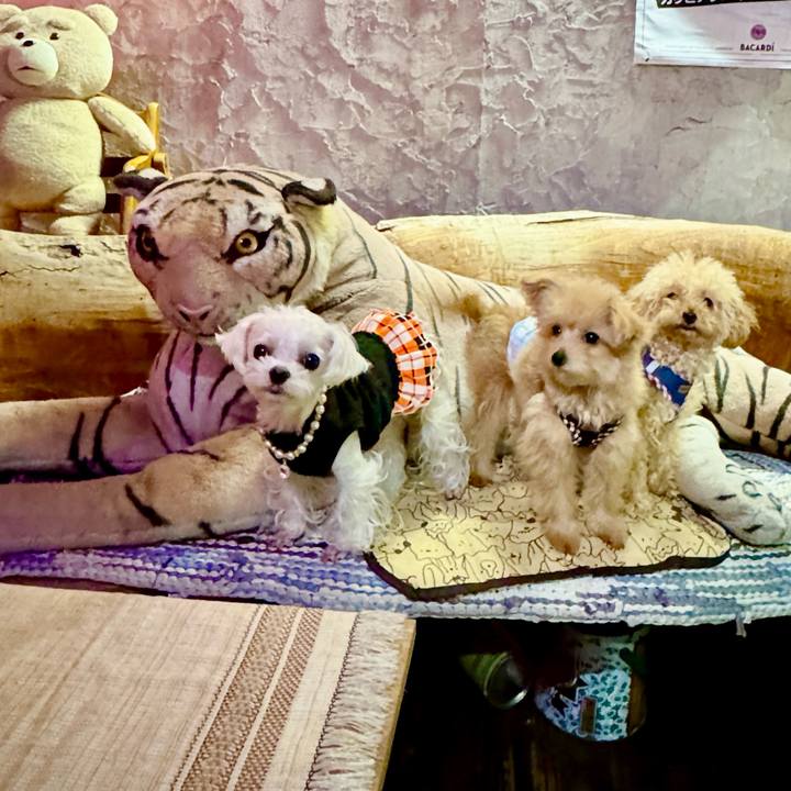 661b7624 99a4 46e9 aa71 a235667e0f26 1729679452769