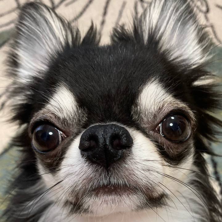 661b8a49 bf8d 42fa b09d 95c54e761874 1625353038422