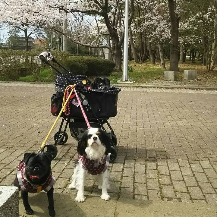 661bb1b4 d8e9 4a7c ac32 2ad60df049ca 1522905724761