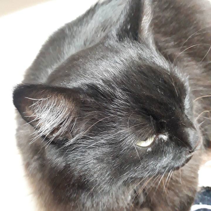 661bd29d 2e42 4397 9725 ea3fe3a0af7e 1519595683041