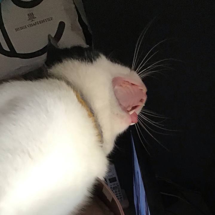 661bdc2b 95d4 4cc1 97de b743d29b5c4e 1653637011195