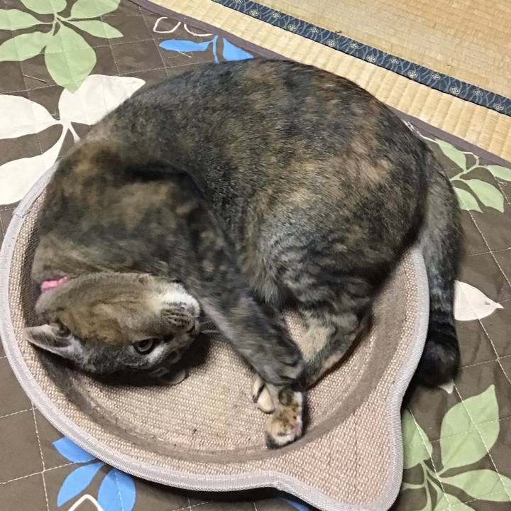 661cb0ec 34cc 46d8 b4ec 1111b7673ca7 1733642432794