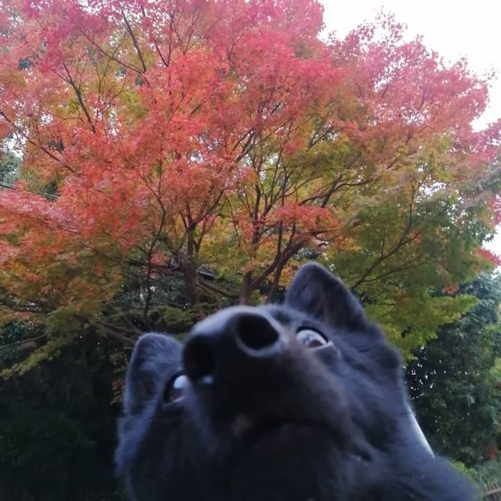 661cdd05 e3c6 4e45 bcf5 9770e07fedac 1637186539094