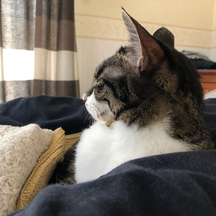 661d31db 7db3 4c6e 9b1a f96b6f83dc97 1619954118194