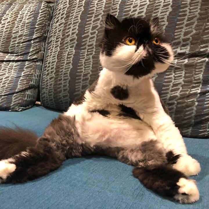 661d3a6e f2f2 49f9 b95c 5c79e7757429 1596288365785