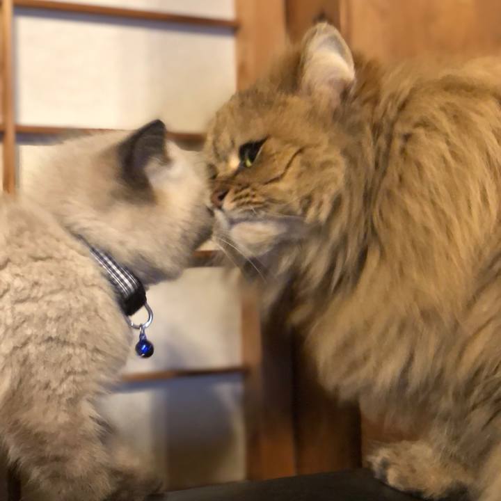 661d6f6c dc03 4c28 86ca 4b58730117db 1585050223146