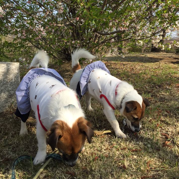 661db693 50c6 42ef ab7b 803ed085a000 1554520498128