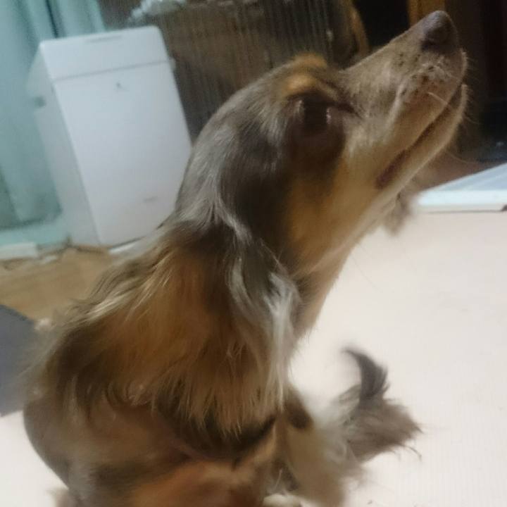 661de0e2 1771 4d2f 8f5e 6fafd97ae8c6 1519212979968