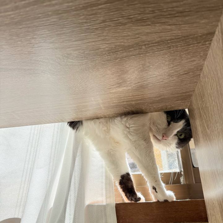 661dee45 e41e 4c77 a9a6 e0d708509704 1774576317639