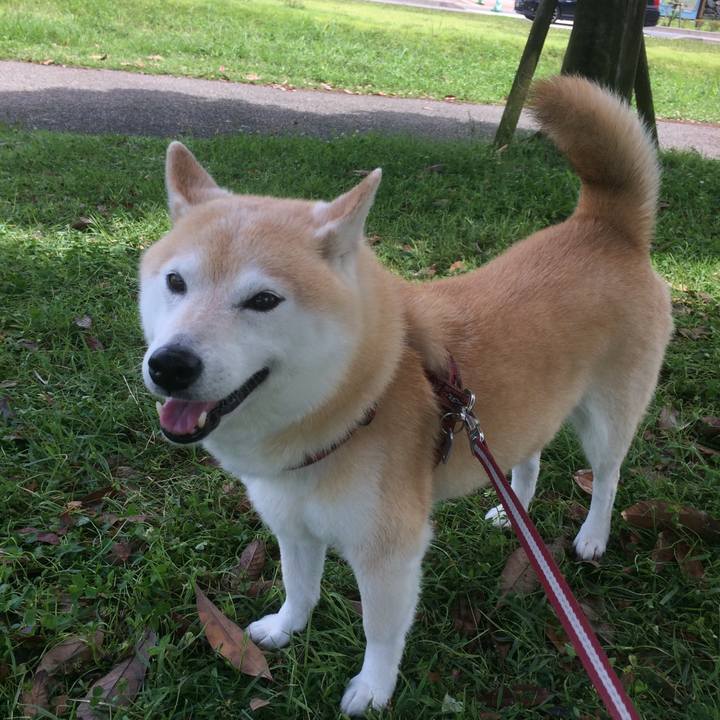 661e1172 7a10 4d67 a4d8 685ff5c42d1b 1562250896941