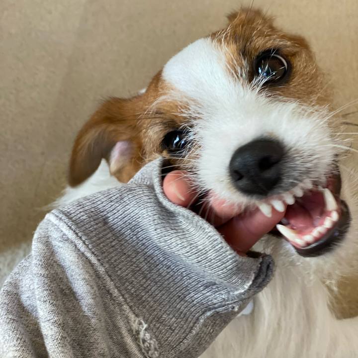 661e1c02 8e12 4165 b5c5 5bee3304bb3e 1646014798933