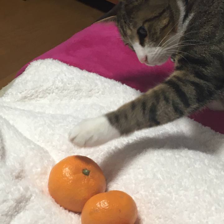 661e2608 4936 4ca5 bc15 1bc73ebf4d02 1672244480340