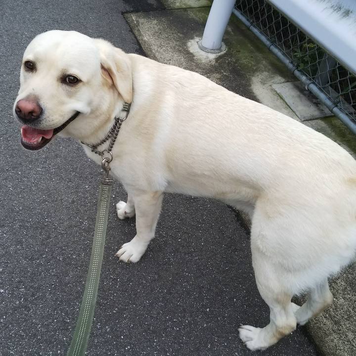 661e3788 a6f3 43ab 8b8c 046cbbc93b0c 1530868568117