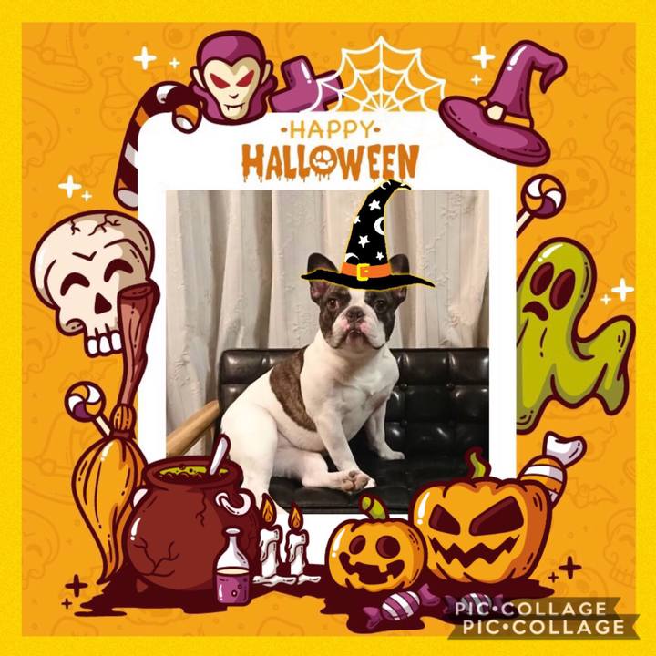 661e7681 5871 41ff b1e2 55ce67994f5f 1571794993389