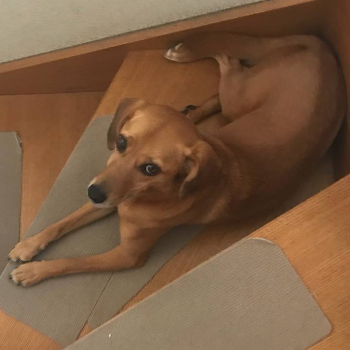 661e7e9b 1371 402e 847c 95baa58195da 1531554447941