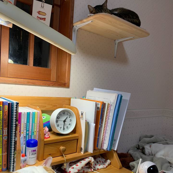 661e8494 1a78 47b2 90e3 1a2afdc9dc06 1635611544197