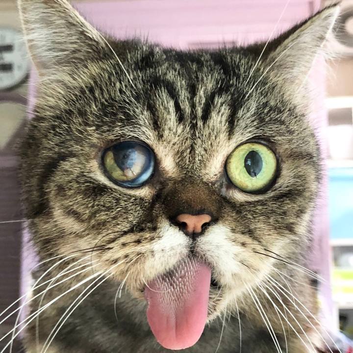 661e8659 4e4f 44ae af50 b6c108b8efc9 1657238732688